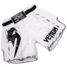 Muay Thai Venum Giant Shorts