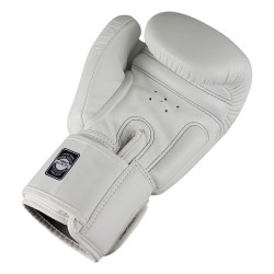 GANTS DE BOXE TWINS BLANC