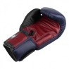 GANTS DE BOXE TWINS SPECIAL BLEU/BORDEAUX