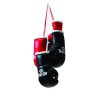 Mini gants de boxe Daedo