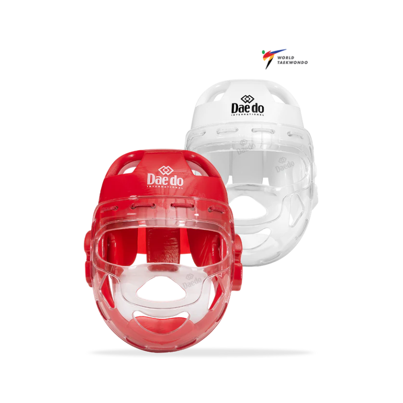 WT MASK CASQUE