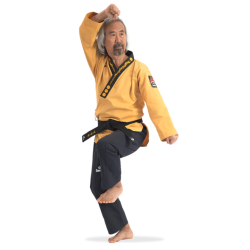 DOBOK POOMSAE GRAND MAÎTRE AVEC BRODERIE PHOENIX