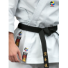 KARATEGI "PRO BUNKAI"