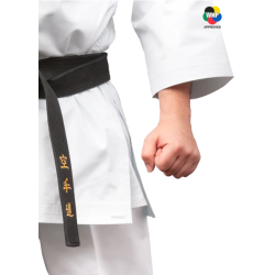 KARATEGI "BUNKAI MASTER"