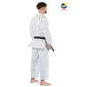 KARATEGI "BUNKAI EUROPE"