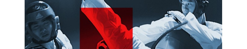 Protections Taekwondo